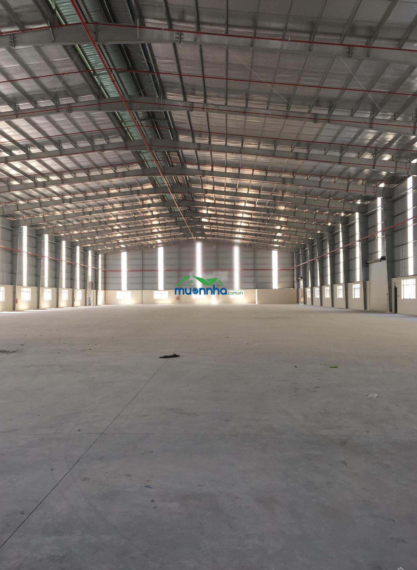 Cần cho thuê kho, nhà xưởng đạt chuẩn công nghiệp tại kcn mỹ phước, thị xã bến cát, tỉnh bình dương - 4