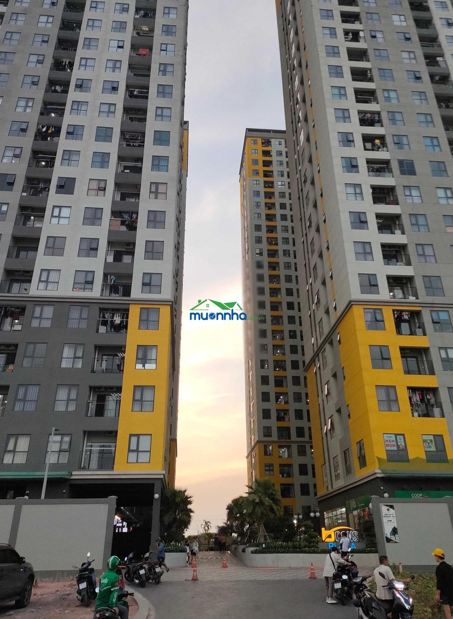 Cho thuê căn hộ bcons t6 - 2026 - 2