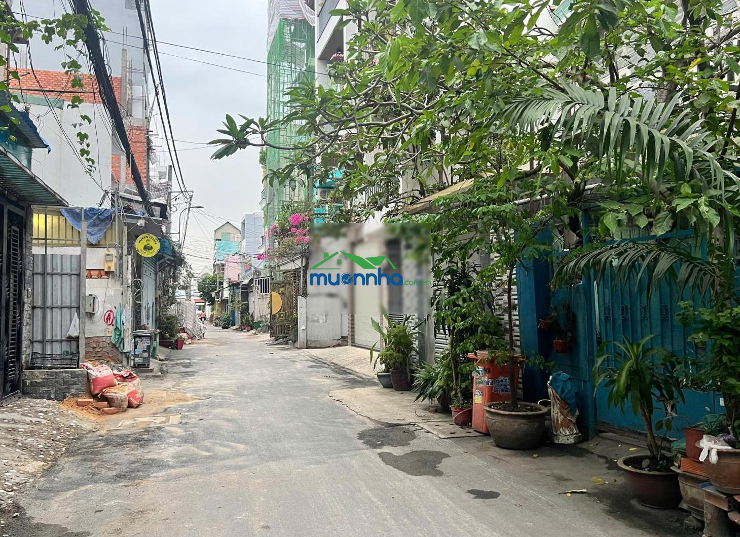 Bán nhà cấp 4 phạm văn chiêu, gò vấp 154,8m2, ngang 4,03m nở hậu 5m, phù hợp chdv, 11,5 tỷ - 3