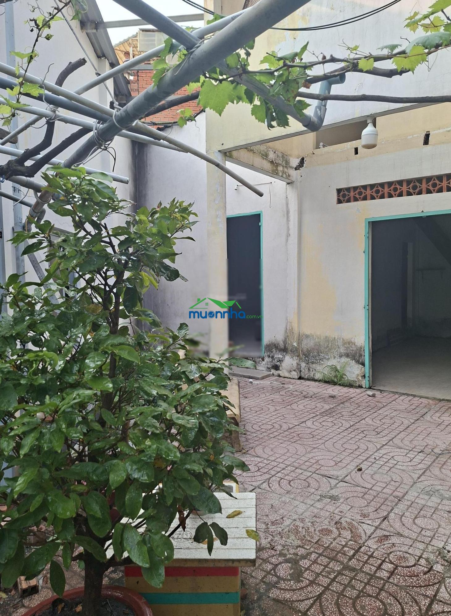 Bán nhà cấp 4 cũ, hẻm 22 đường số 10, trường thọ, 169m2 giá 4.2 tỷ - 3