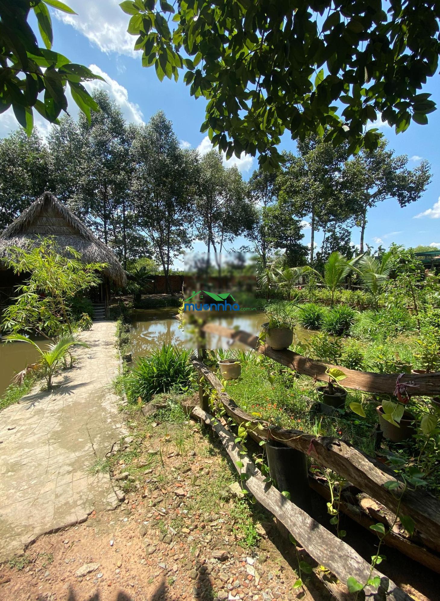 Bán đất nghỉ dưỡng vị trí đẹp trung tâm tp. thủ dầu một đường hồ văn cống