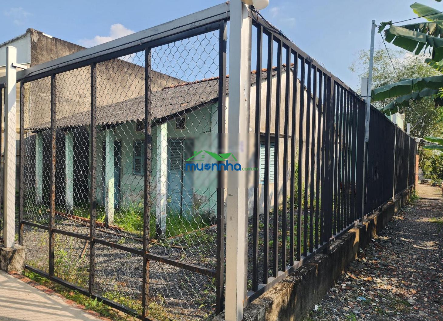 Nhà hẻm đường phước vào 150m, nhà nát diện tích rộng tiện xây mới. tặng kèm giấy phép xây dựng - 4