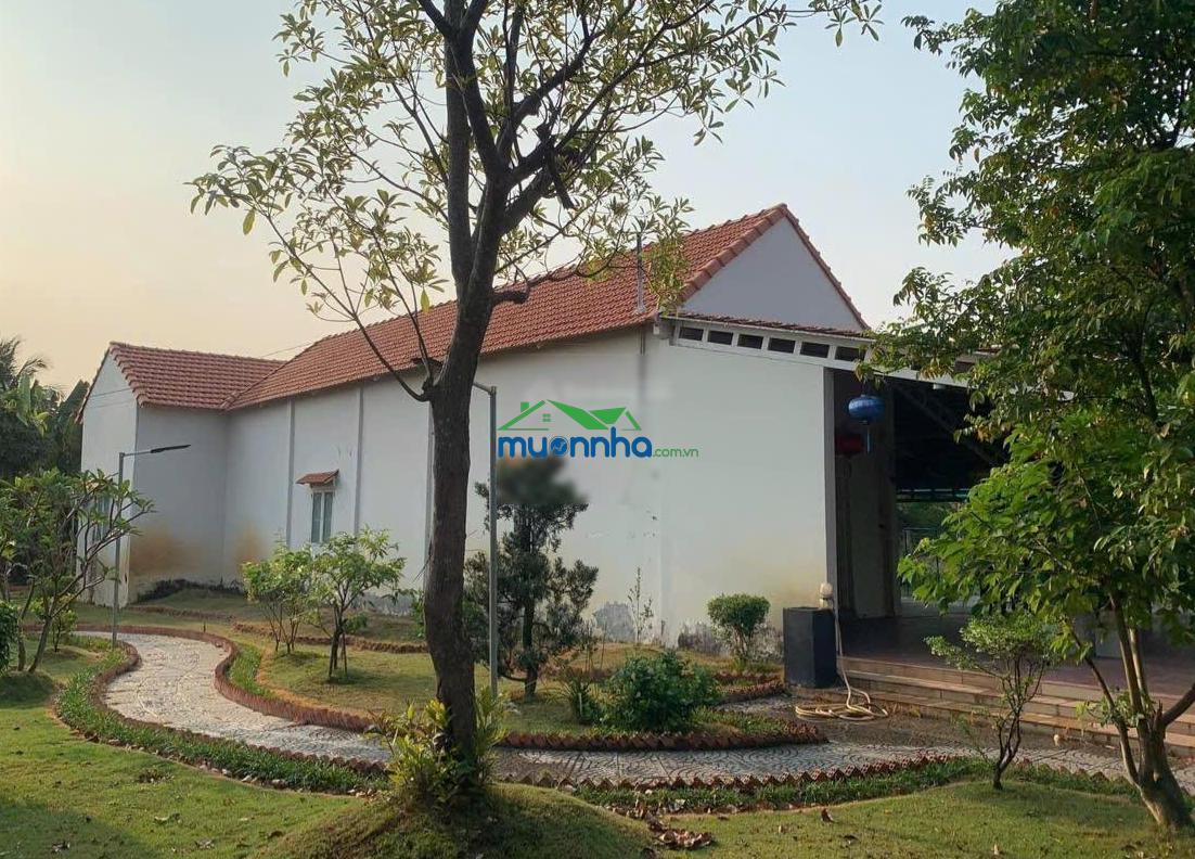 Nhà vườn xã tân nhựt bình chánh 1300m có 300m2 thổ cư - 2
