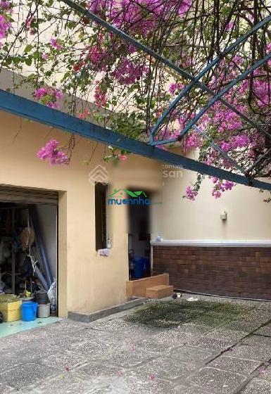 Nhà 1000m2 xây mới cực hiếm, lâm văn bền, xây tòa nhà 7 tầng đỉnh nhất q7