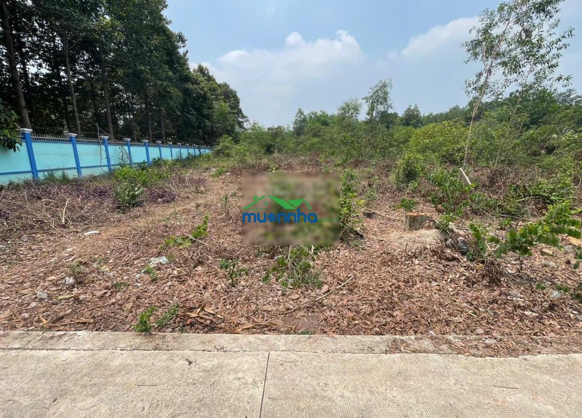 Chính chủ gửi bán đất tân thành 30 gần full thổ cư (359.9m² giá tốt gần kcn)