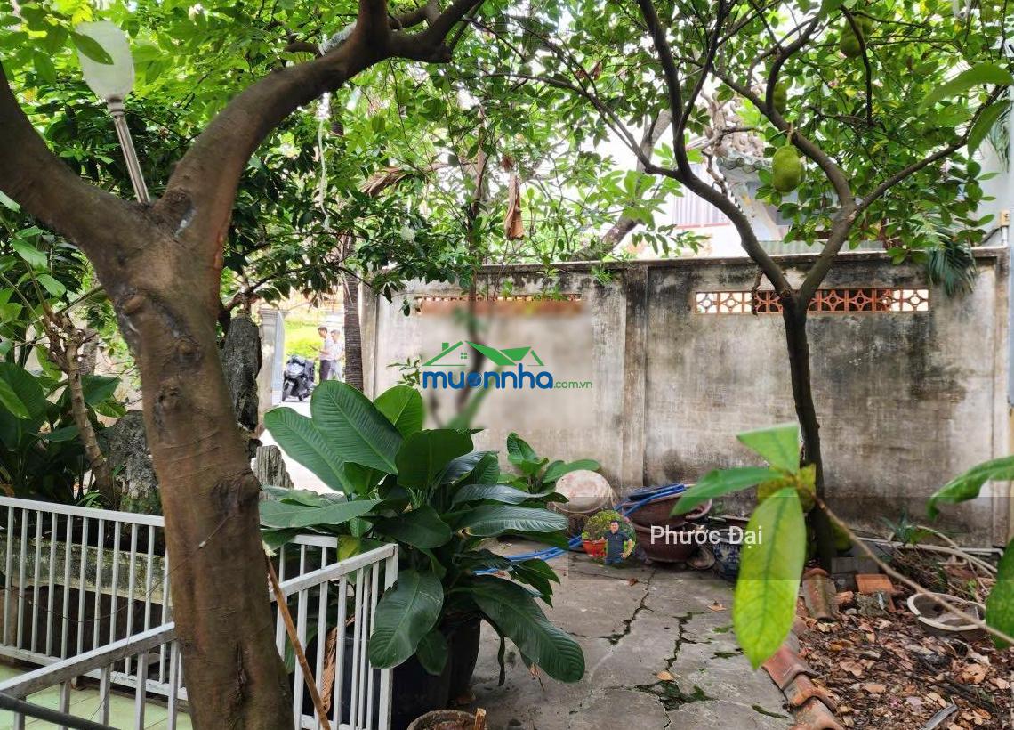Hẻm 6m - toàn biệt thự - nhà nghỉ dưỡng 285m2 (8 x 35,5) nhỉnh 15 tỷ