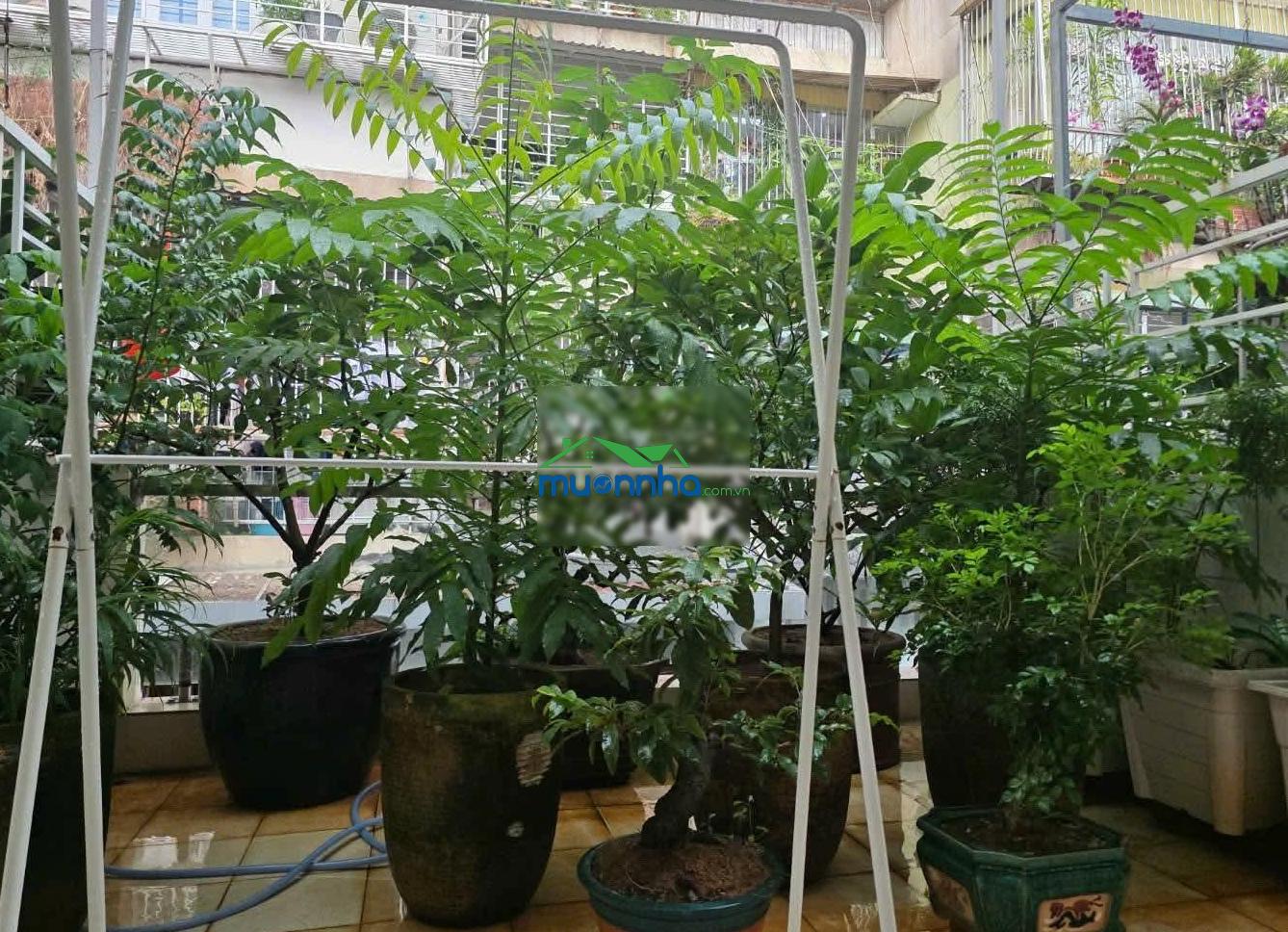 Bán nhà trung tâm an khánh quận 2 - nhà 3 tầng đường số 3 khu chung cư bộ công an. - 2