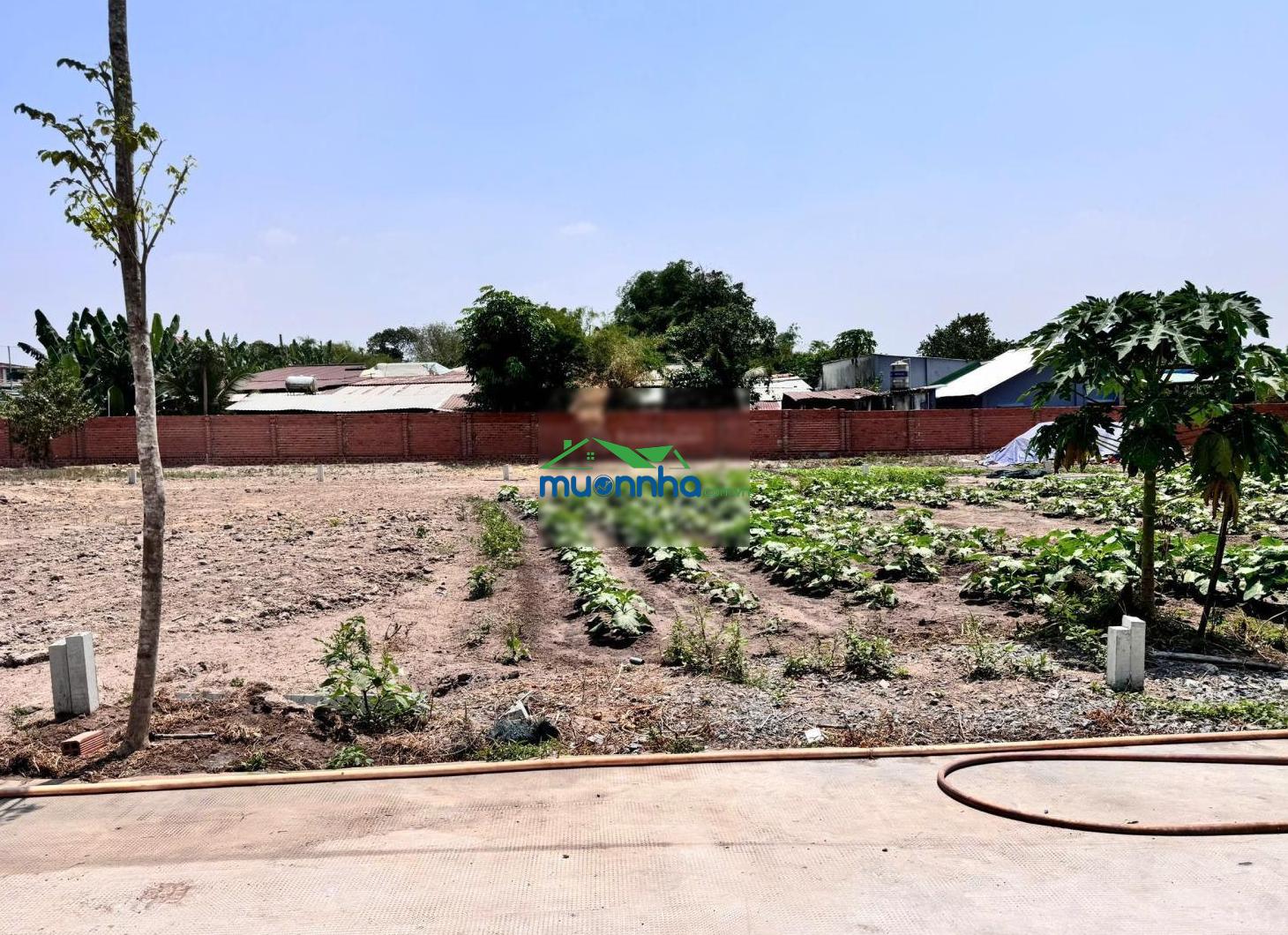 Nhà riêng bán tại nguyễn thị thôn, phú hòa đông, củ chi 1,6 tỷ, 125m2 đẹp, nhiều tiện ích - Ảnh 2