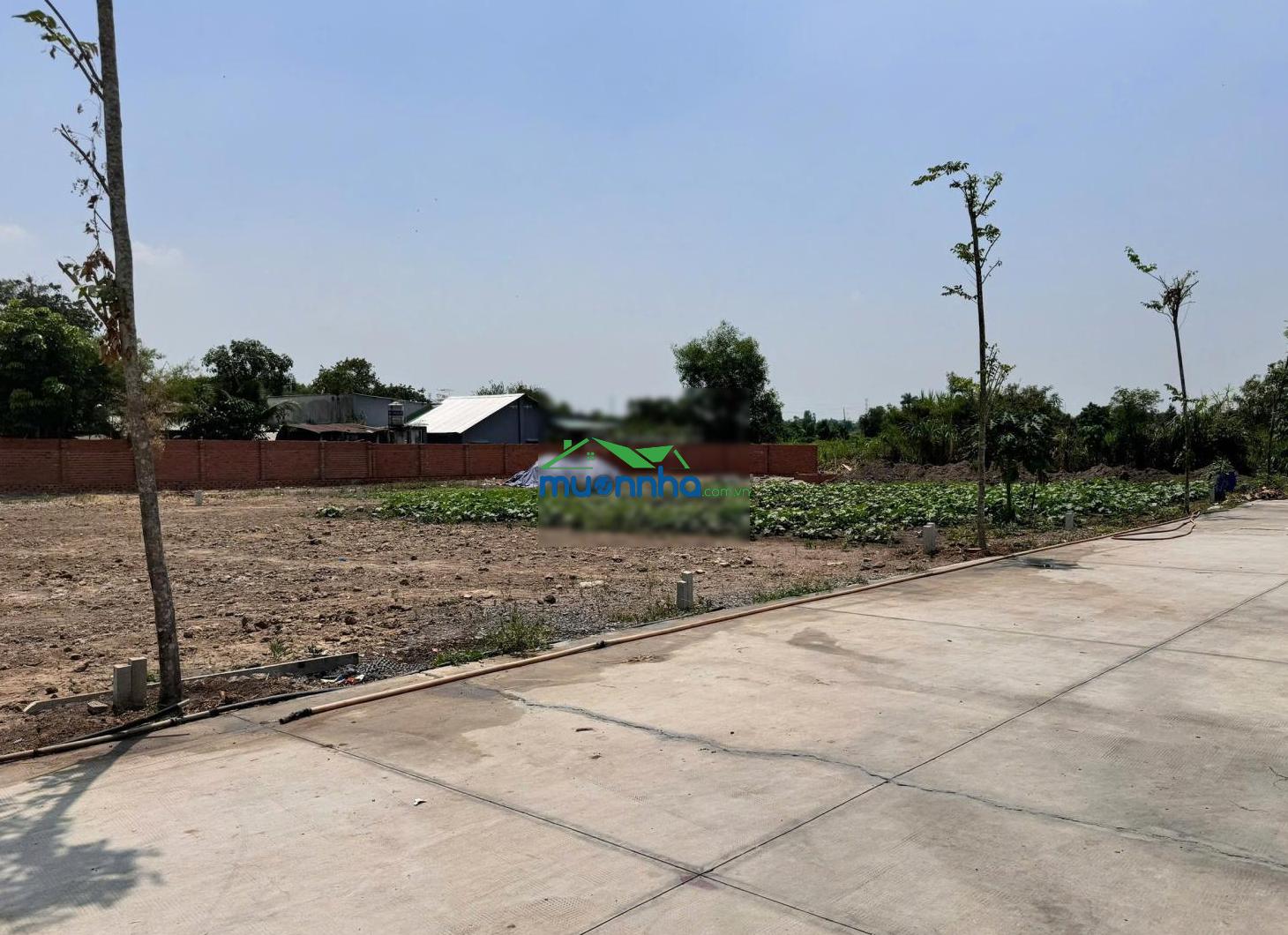 Nhà riêng bán tại nguyễn thị thôn, phú hòa đông, củ chi 1,6 tỷ, 125m2 đẹp, nhiều tiện ích - Ảnh 4
