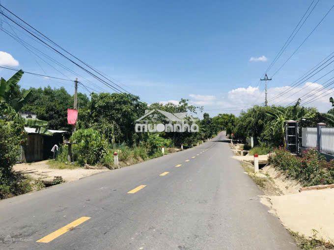 Bán nhà vườn bưởi