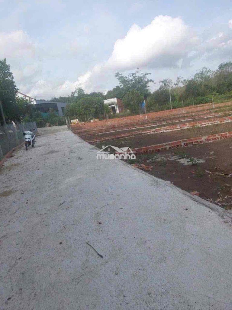 Cần bán đất ngay khu dân cư đường bê tông