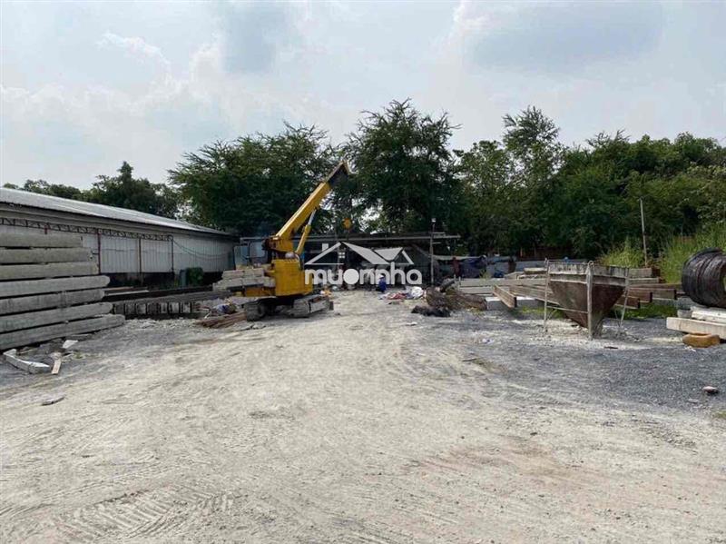 Cho thuê mặt bằng (như hình) dt:1.200m2 - giá:12 triệu/tháng  có điện