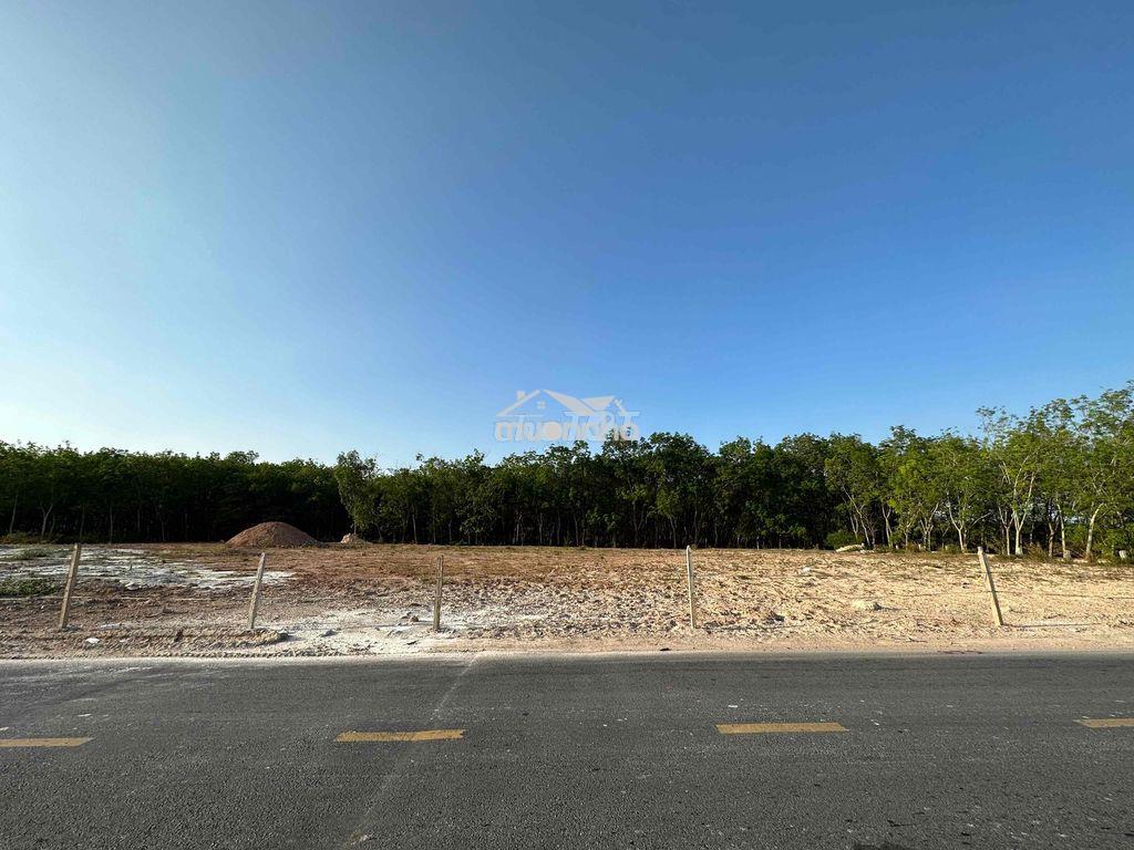 Cho thuê đất diện tích lớn (1.600m2) - 2