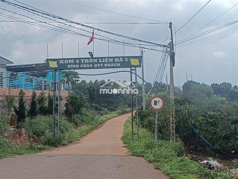 Cần tiền bán gấp lô đất 2 mặt tiền view sông