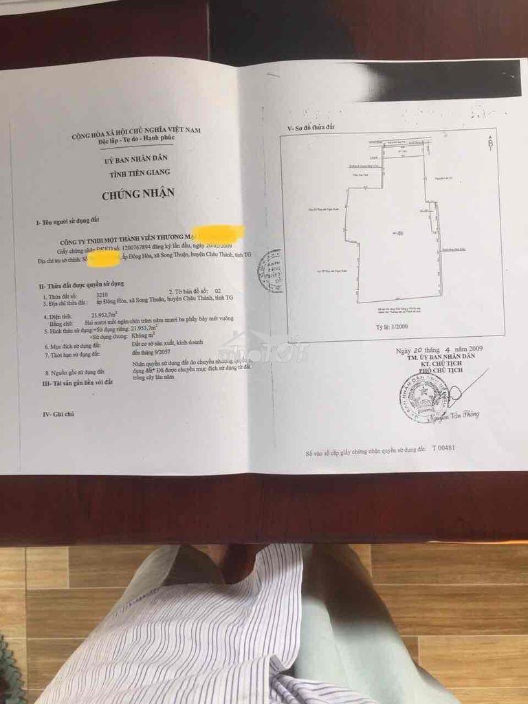 Cần bân cty than đá có sẵn cầu cảng giá 172tỷ (đang goạt động)