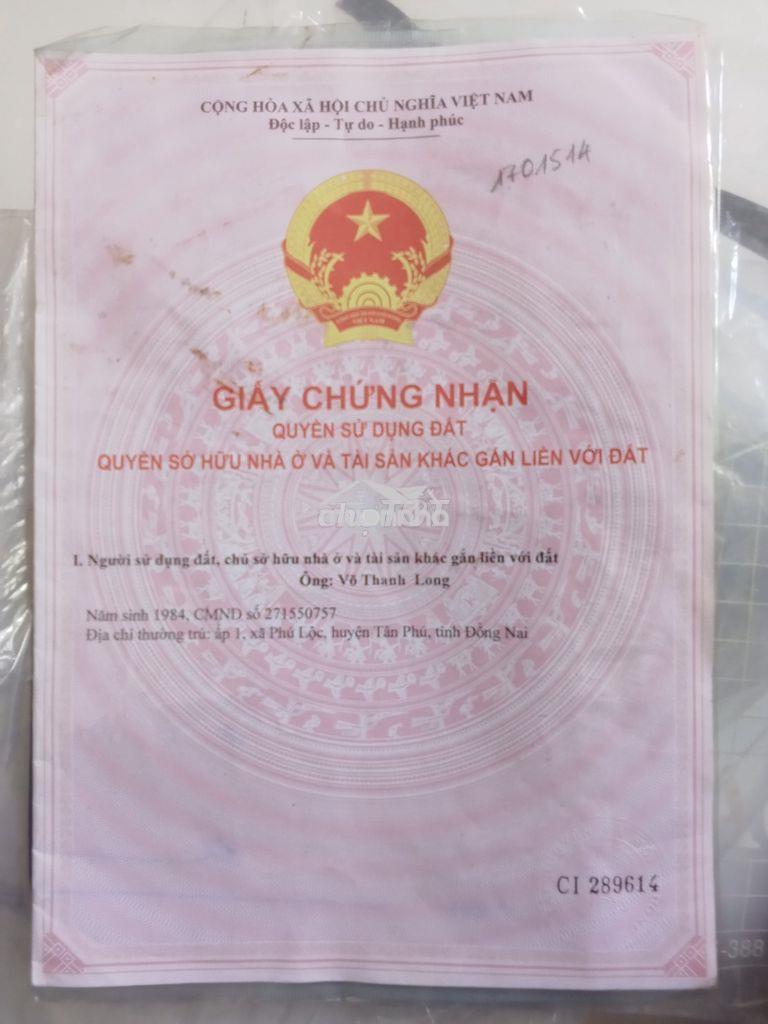 Đất trồng cây lâu năm