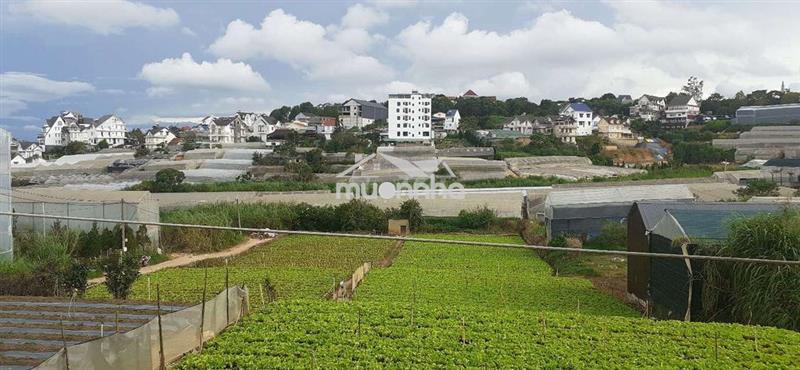Đà lạt bán 122 m2 đất nn làm nhà ở