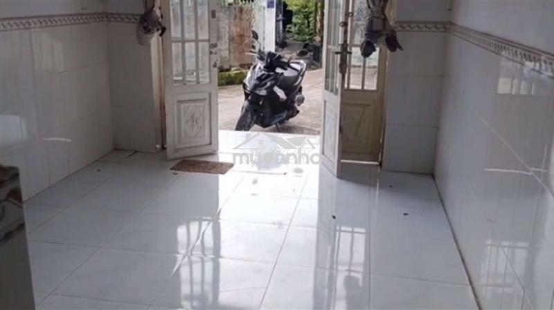 🏘️ Nhà giá rẻ đường xe hơi, đồng tâm, giác đạo, trung chánh hóc môn 🏘️