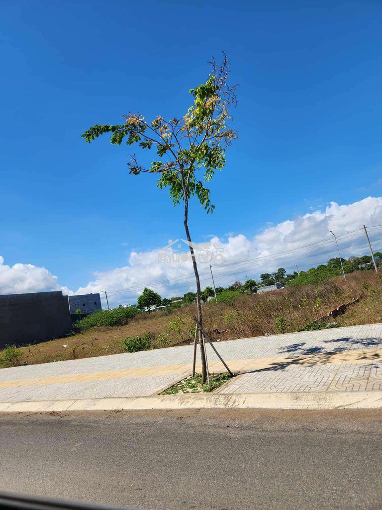 Bán gấp lô đất gần sân bay long thành sổ sẵn