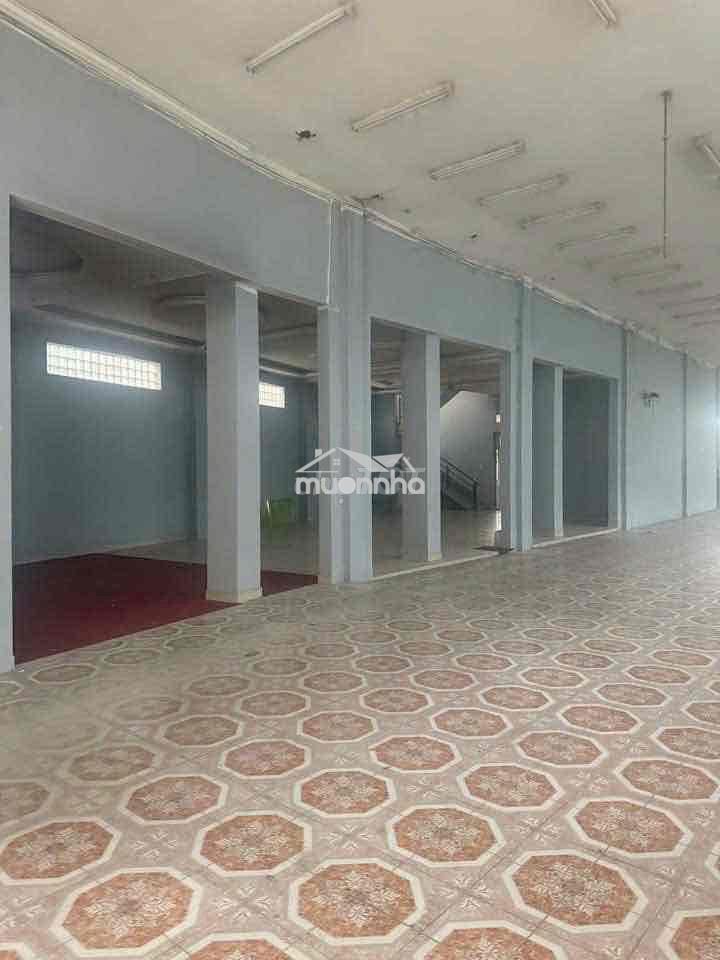 Cho thuê mặt bằng đường cmt8, thủ dầu một - diện tích đất : 1000m2, - 3