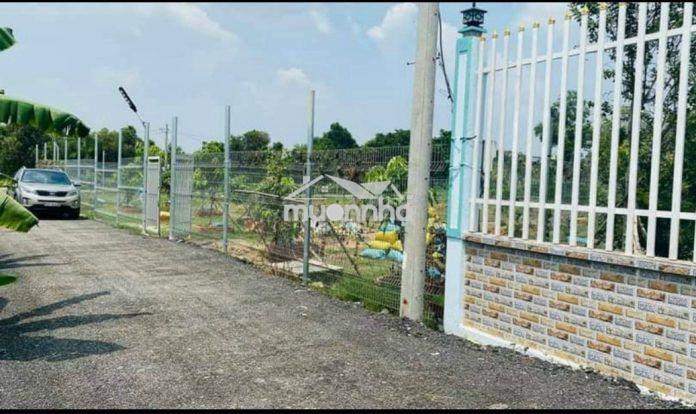 Cho thuê đất 6292m sxkd nguyễn ngọc cung, phường phú định, quận 8 - 2