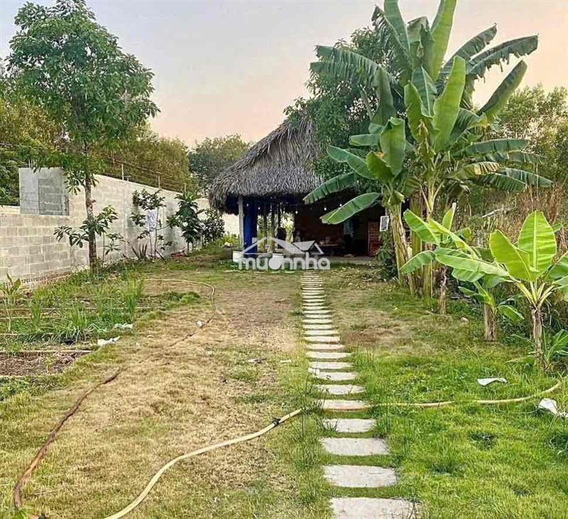 Đất ngộpp