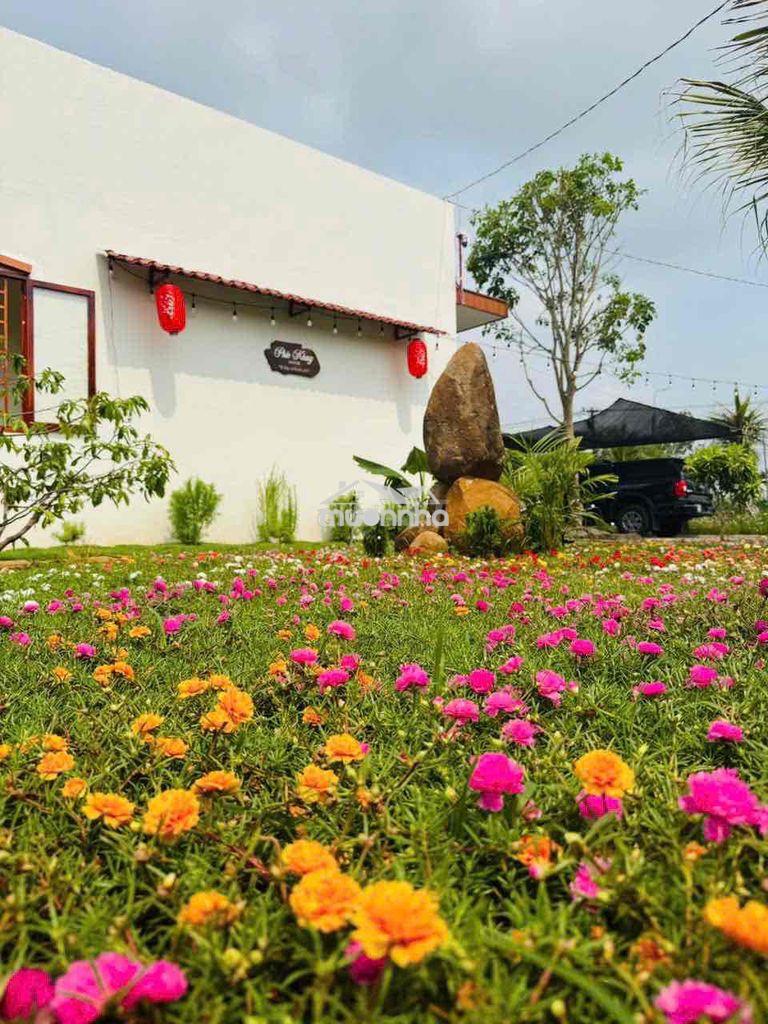 Bán lô đất vườn mt đường nhựa - 3
