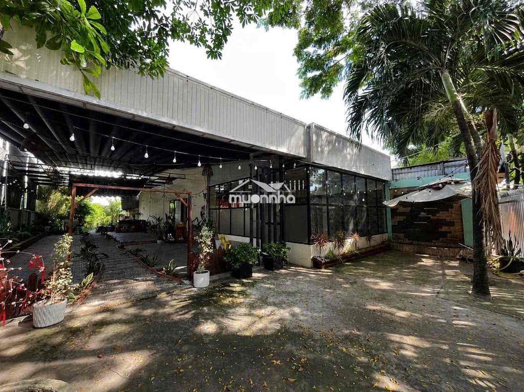 Cho thuê mặt bằng phú thọ, thủ dầu một  - diện tích  : 14x45 (660m2) c - 2