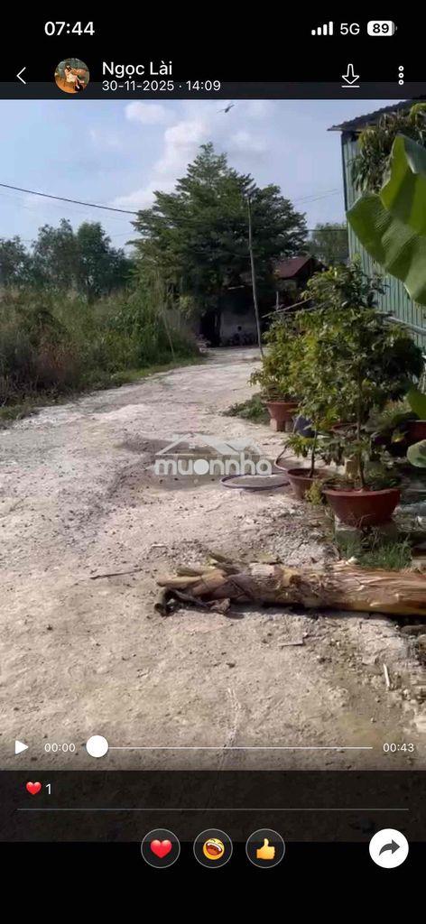 CHO THUÊ PHÒNG TRỌ ĐƯỜNG NGUYỄN BÌNH