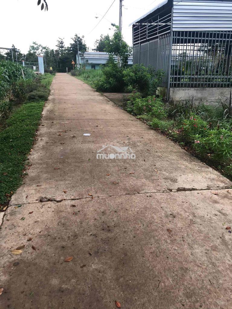 Cần bán gấp nhà cấp 4 chính chủ - 3