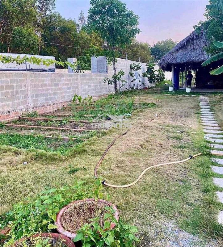 BÁN ĐẤT THỔ CƯ