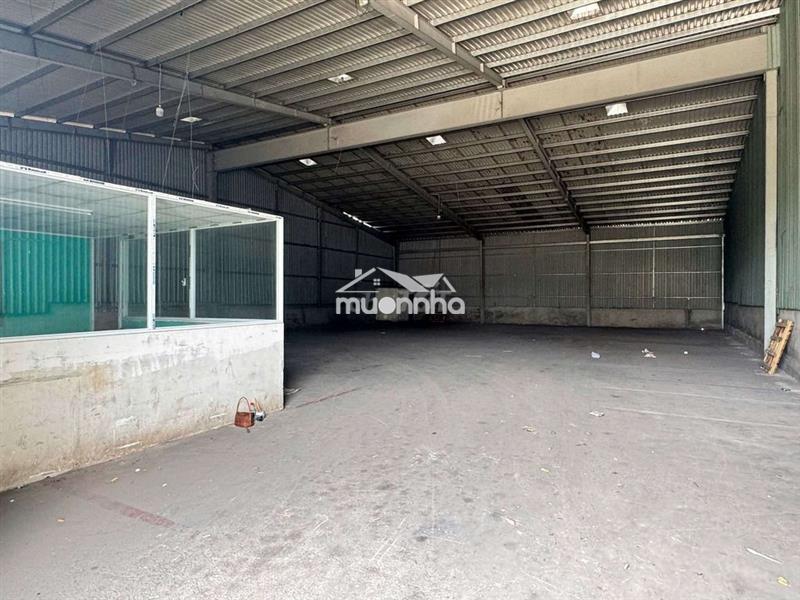 Xưởng sản xuất gỗ 2000m giá 50tr đầy đủ máy móc