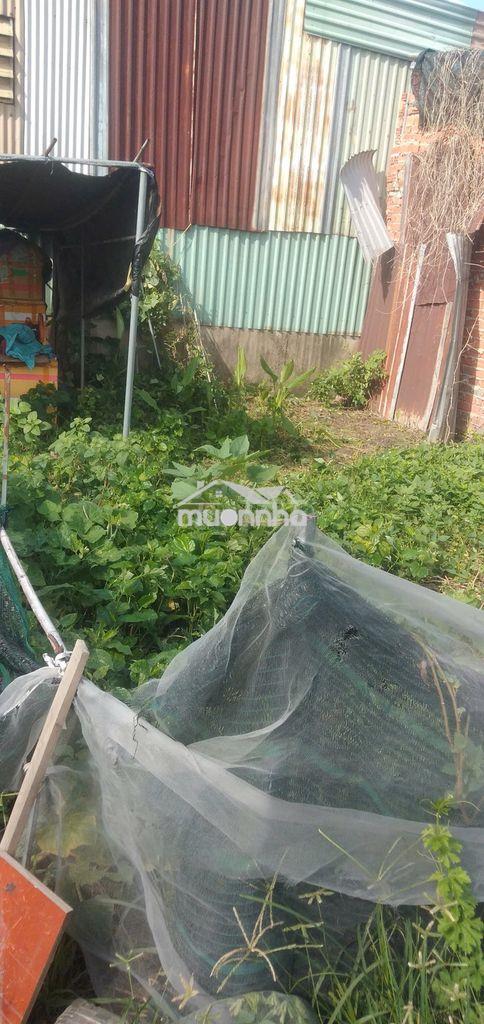 Bán đất xã đông thạnh, hóc môn