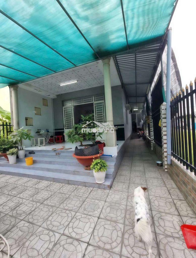 Bán nhà sổ hồng riêng bình chánh - 2