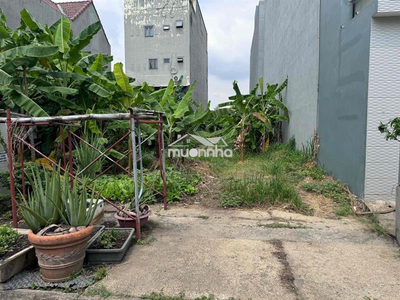 Bán đất chính chủ