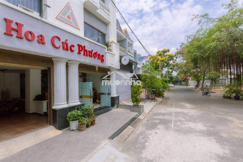 Hoa cúc phương hotel dĩ an- kế tđức, lịch sự, giá bình dân