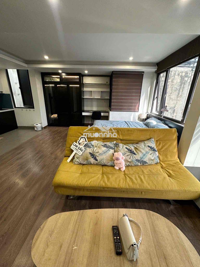 Cho thuê căn hộ studio rộng 50m2 gần lotte, himlam quận 7 - 4