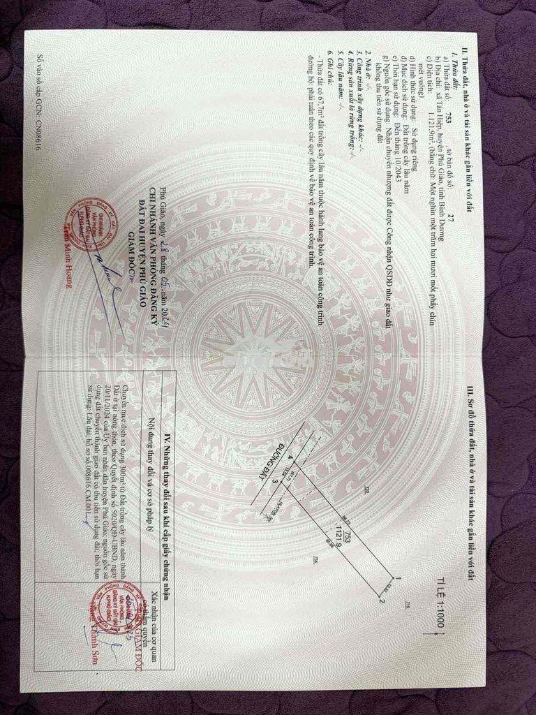 Cho thuê lâu dài đất trống