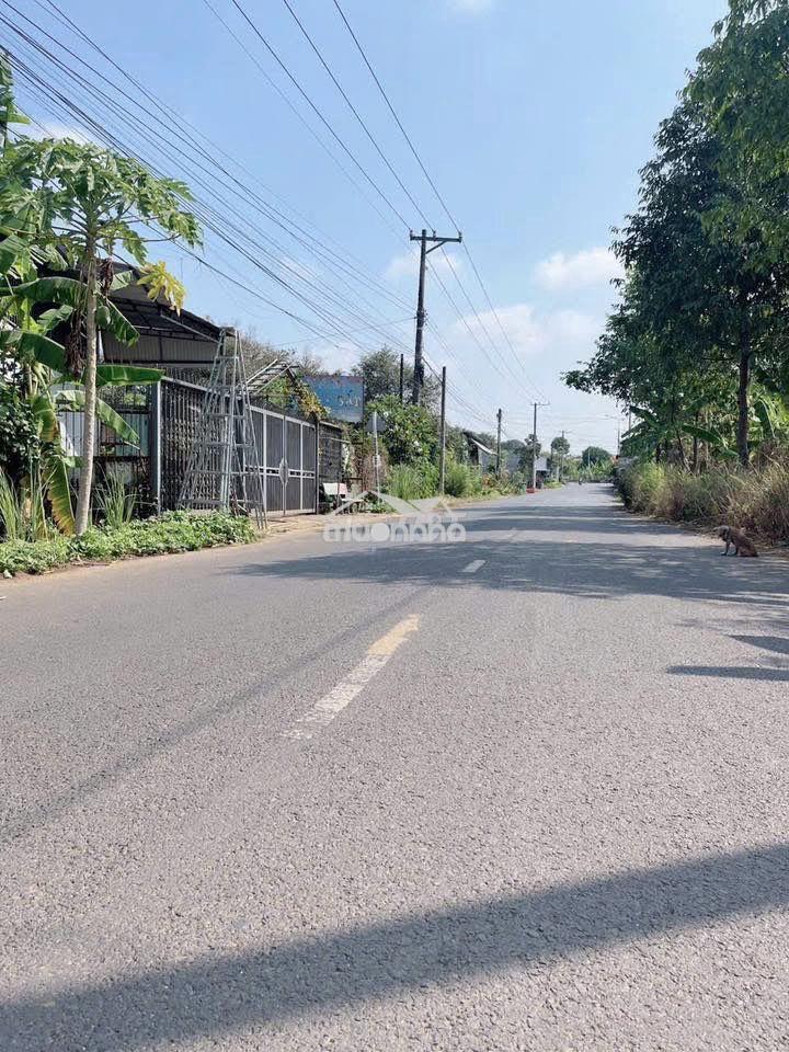 🚀Đón sóng đồng nai tp trung ương, phường dầu giây 105m² thổ cư/430 tr