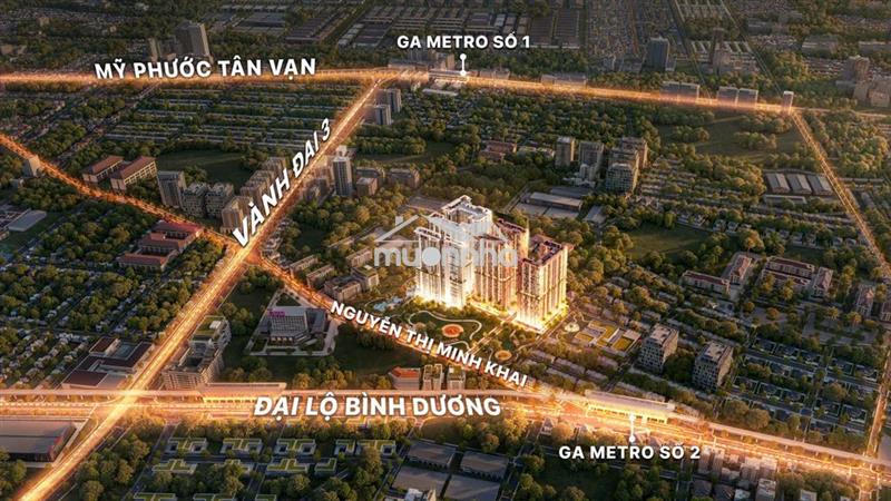 Tin được không chỉ với 20% vốn bạn đã sở hữu căn cc