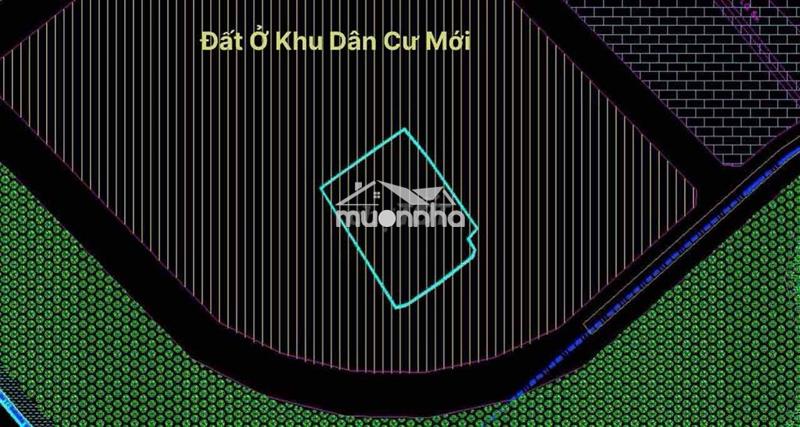 Đất xã bà điểm . gần kcn vĩnh lộc .  5 sổ riêng