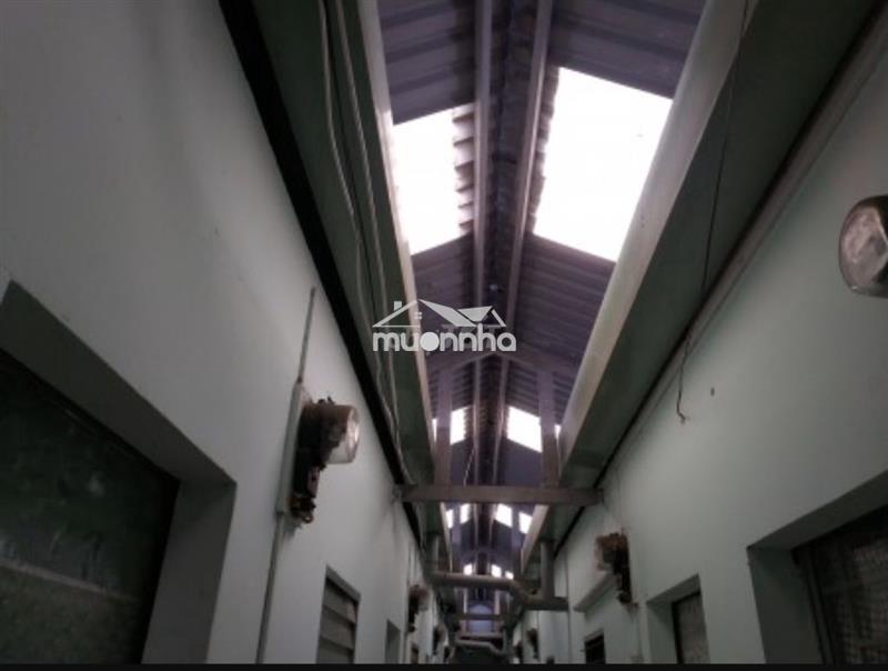 Phòng trọ gần công viên lê thị riêng, chợ hòa hưng