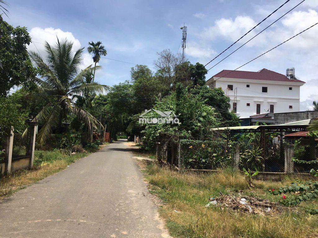 Gia đình bán căn nhà vườn tân biên tân châu tây ninh - 3