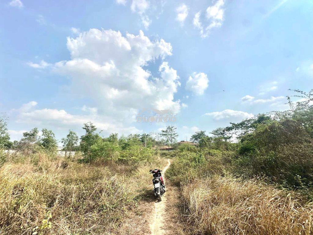 Bán rẻ 4800m2 đất hố nai, đồng nai, 2 mặt đường rộng 6m sổ hồng thổ cư - 3