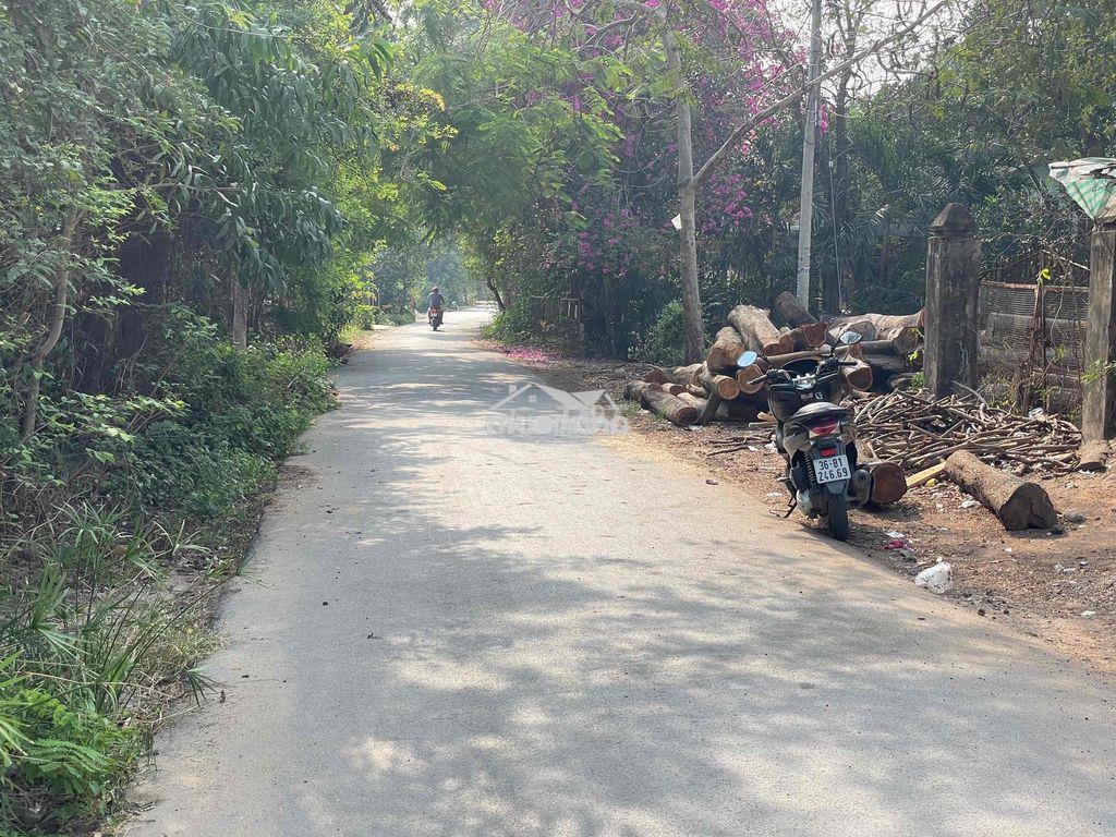 Bán đất thổ cư tân thạnh đông củ chi - 3