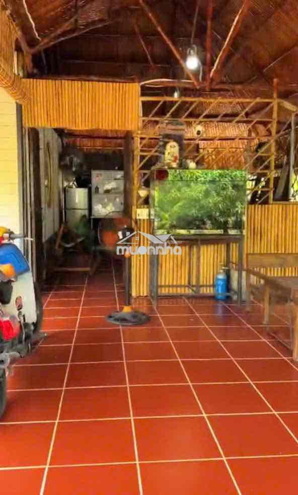 Gấp gấp nhà vườn an điền 15x52m. thổ cư 200m2 sẵn nhà , cây ăn quả - 2