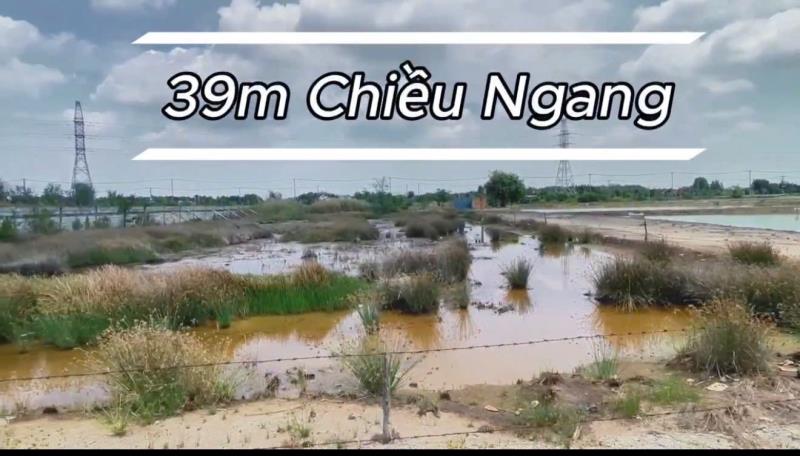 Cần b𝐀́𝐍 𝟓521,7m2 đ𝐀̂́𝐓 𝐌𝐀̣̆𝐓 𝐓𝐈𝐄̂̀𝐍 đ𝐔̛𝐎̛̀𝐍𝐆 𝐑𝐔̛̀𝐍𝐆 𝐒𝐀́t, bình khánh, cần giờ - 2