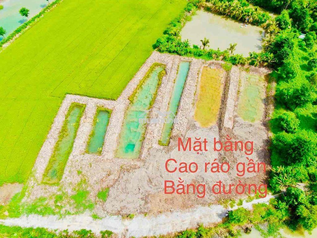Đất ruộng 1183m2 lộ đá mi phường bình đức mới - 2