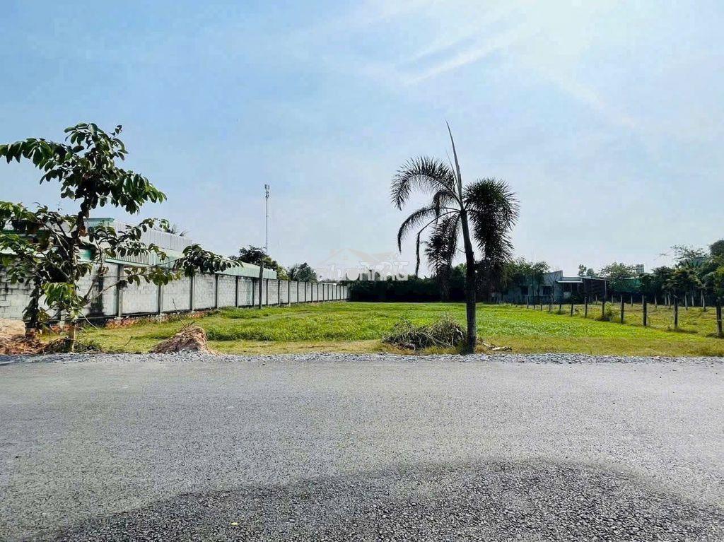 Cần bán lô đất tân an hội củ chi 500m2 ngang 13x38m, sổ hồng riêng - 2
