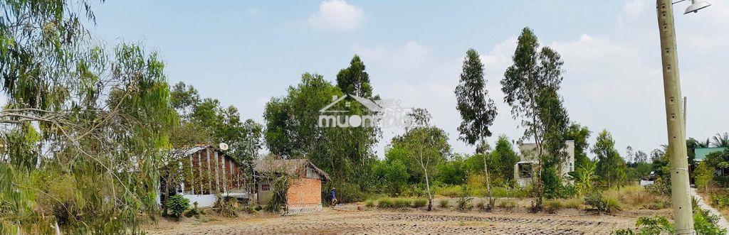 Bán đất  vườn chính chủ giá rẻ - 3